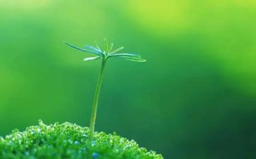 关于珍爱生命的学生演讲稿5篇