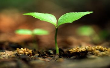 防溺水珍爱生命的演讲稿模板7篇