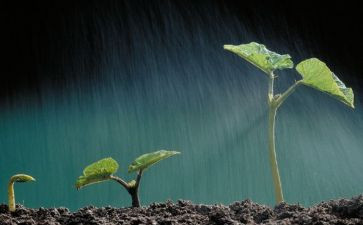 谈生命的演讲稿精选6篇