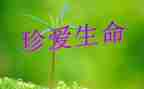 爱生命班会主题教案推荐8篇