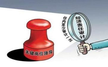 局审计述职报告6篇
