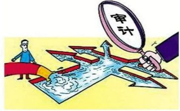 审计组述职报告7篇