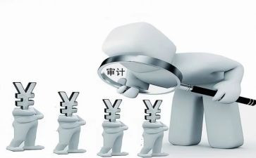 2024审计局工作总结5篇