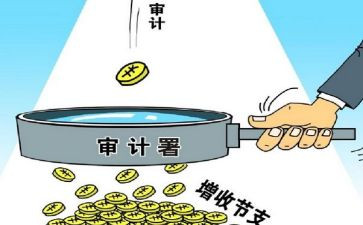 2024年审计年终工作总结8篇