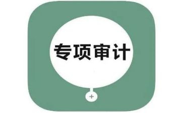 2024审计年度工作总结优秀5篇