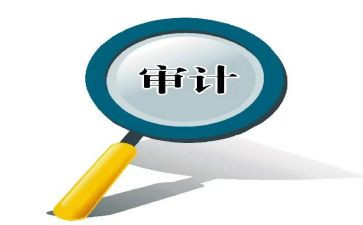 审计助理年度工作总结7篇