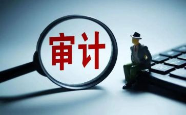 审计组年度工作总结通用6篇