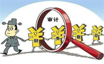 审计局个人年终工作总结5篇