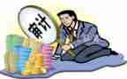 年审计工作总结参考7篇
