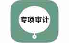 2024审计年度工作总结优秀5篇