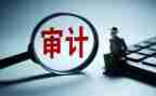 审计组年度工作总结通用6篇