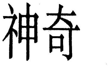 神奇的飞书读后感8篇