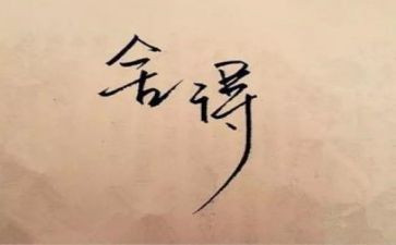 舍与得读后感1000字优秀7篇
