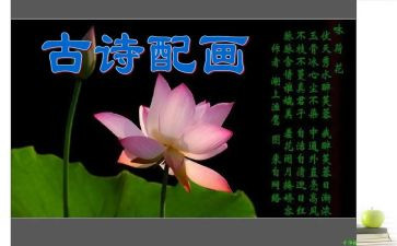 关于诗的演讲稿2000字8篇