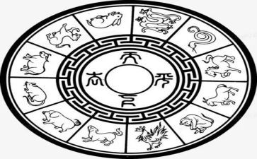 十二生肖作文6篇