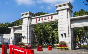 师范系工作总结精选5篇