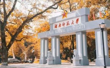 师范系工作总结优秀6篇