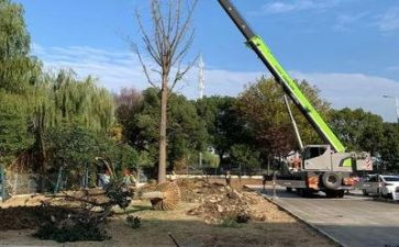 施工个人总结工作总结推荐6篇