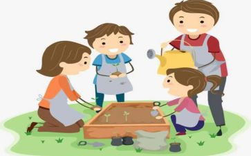 教师社会实践活动总结8篇