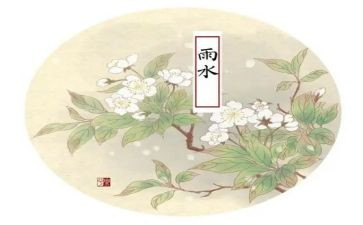 十四运的心得体会通用6篇