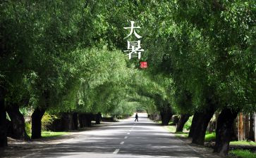 十四运的心得体会6篇