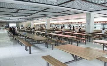 简短食堂工作总结8篇