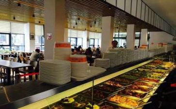 食堂的半年工作总结6篇