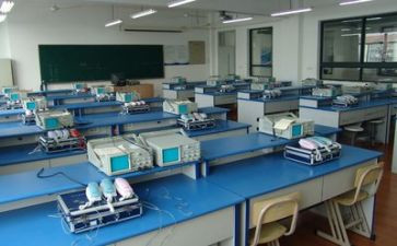 实训总结报告范文5篇