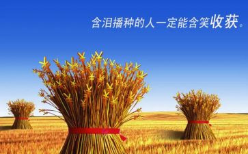 收获时的心得体会最新8篇