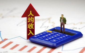 关于农民收入调查报告6篇