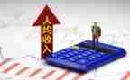 关于农民收入调查报告6篇