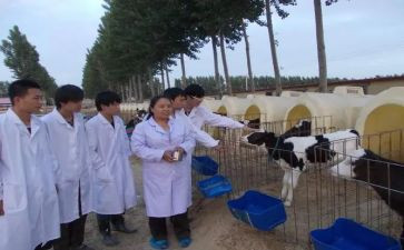 执业兽医师年度总结5篇