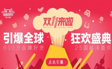 双11计划工作计划总结模板5篇