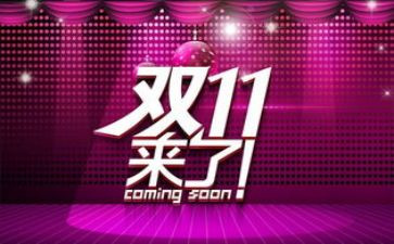 双11计划工作计划总结最新5篇