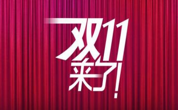 双11调查报告参考8篇