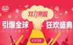双11调查报告5篇