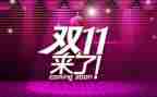 双11计划工作计划总结5篇