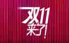 双11调查报告参考8篇