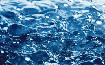 水果店小班教案7篇