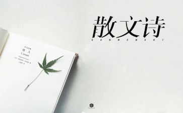 抒情类初中作文精选6篇