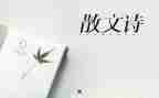 抒情类初中作文精选6篇
