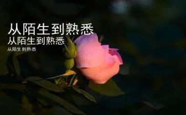 熟悉的人优秀作文6篇