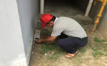 除四害工作计划通用6篇