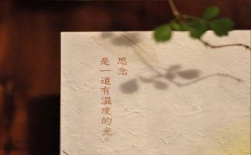 关于思念作文模板7篇