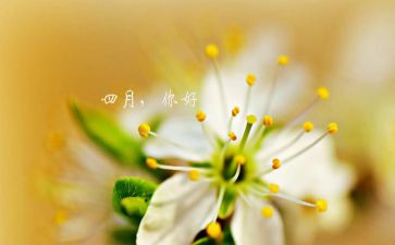 四月团活动总结7篇