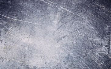 读书类的素材作文5篇
