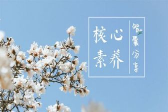 小学教师综合素养心得体会8篇