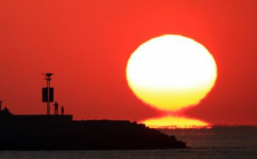 太阳蛋读后感优质6篇