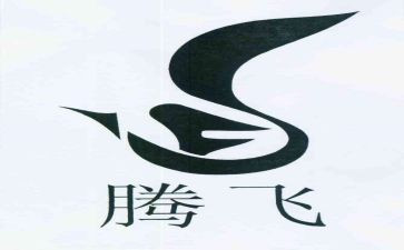 腾飞的中国腾飞的梦演讲稿6篇