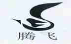 腾飞的中国腾飞的梦演讲稿6篇